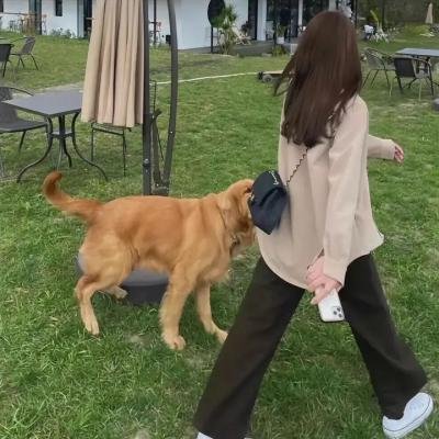 危险生机
